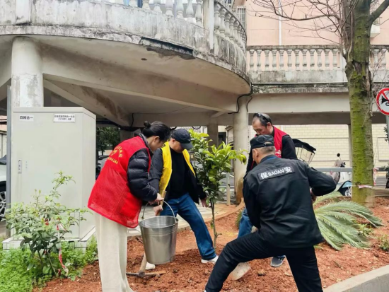 寶塔街道盤(pán)龍社區(qū)：深耕黨建強(qiáng)治理 全齡友好護(hù)朝夕