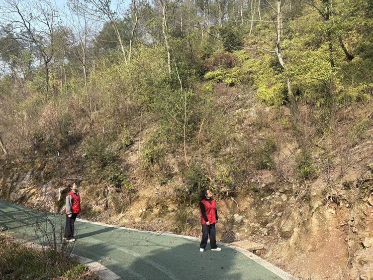 織密“防護(hù)網(wǎng)” 留住“鳥鳴聲”——昭山鎮(zhèn)路口社區(qū)開展春季巡林護(hù)鳥行動(dòng)