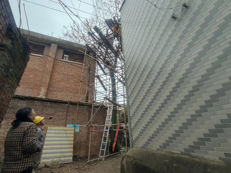 联动除险保平安 顺江村快速处置一处树木安全隐患