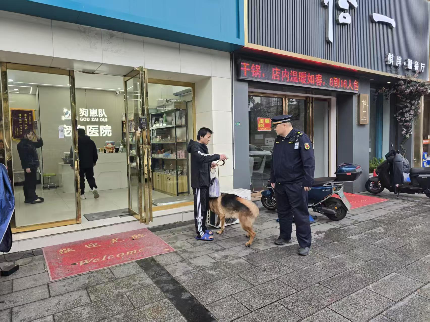 狗走失引發(fā)烏龍投訴 岳塘城管暖心處置獲市民點(diǎn)贊