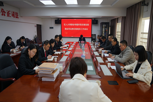 區(qū)人大到岳塘法院調研司法責任制落實工作情況