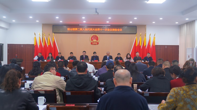 昭山镇第二届人民代表大会第十一次会议召开