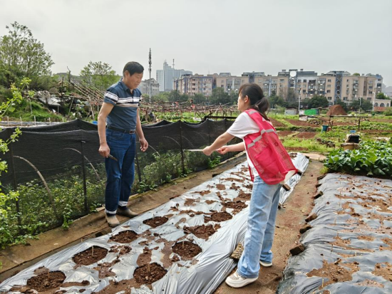 “零種植”底線(xiàn) 云峰社區(qū)禁種鏟毒在行動(dòng)