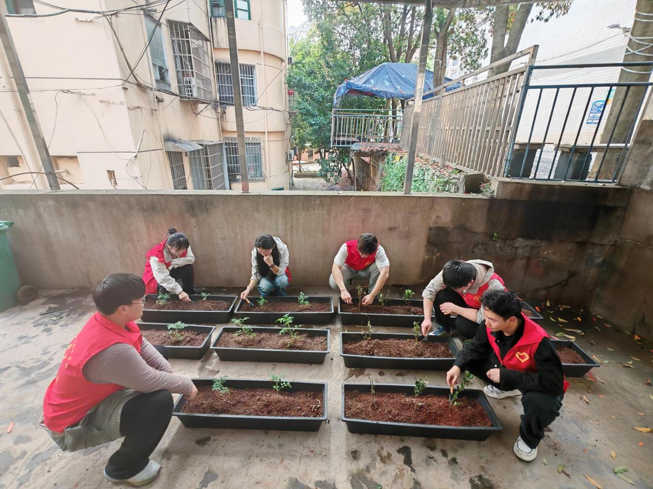 向家塘社区打造共享型社区花园
