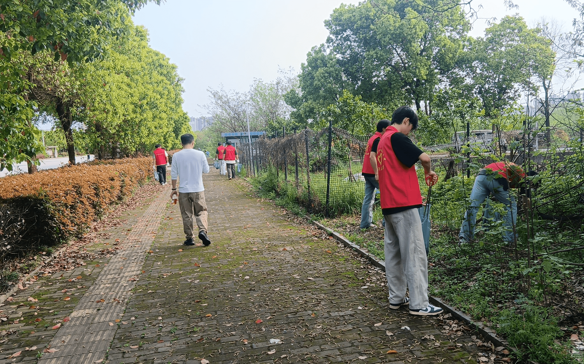 陽(yáng)塘村開(kāi)展“凈家園”衛(wèi)生大清掃活動(dòng)