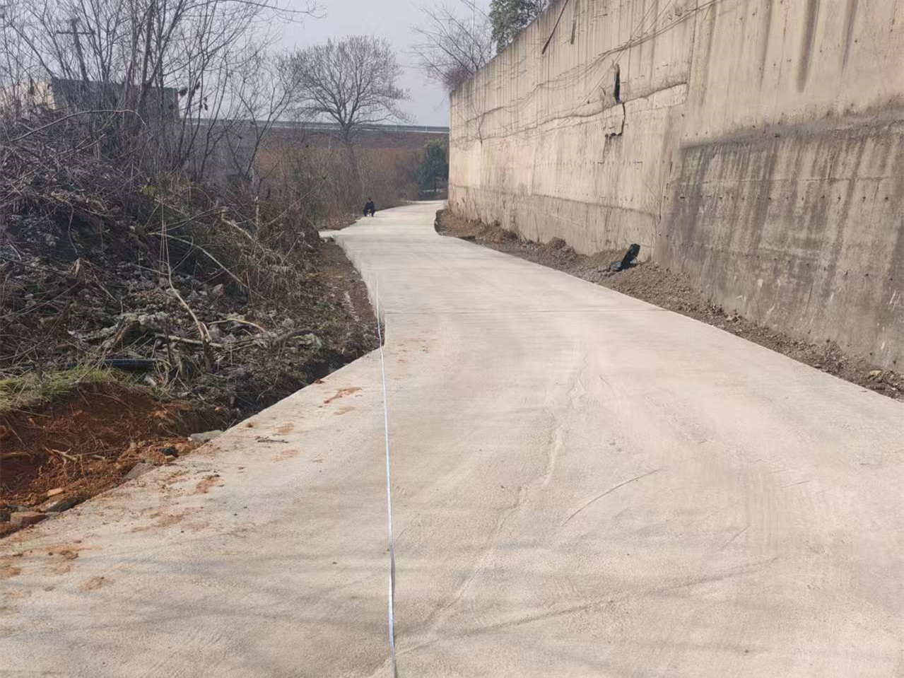 霞城街道五星村：党建引领办实事 修缮道路暖民心