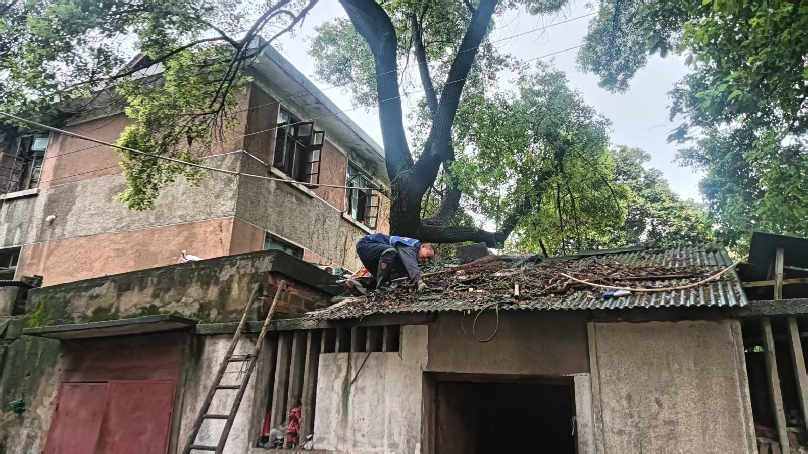 晓塘社区：企社共建聚合力 屋顶垃圾“清零”惠民生