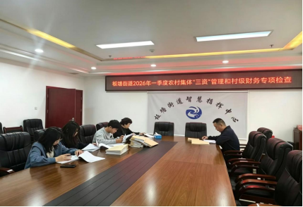 紧盯“三资”管理“微权力” 板塘街道纪工委扎实开展村级财务专项监督检查