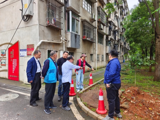 金耐社区：“三听三问”纾民困 协同共治暖民心