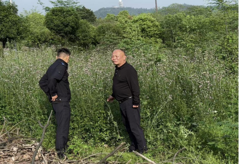 板塘街道：警社联动筑防线  禁种踏查护平安