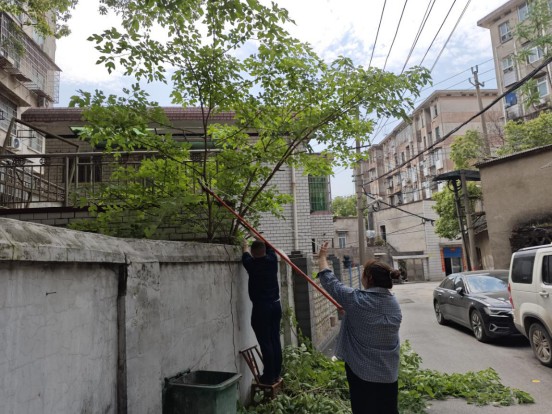 栗塘社區(qū)：樹木修剪除隱患，“三聽三問”暖民心