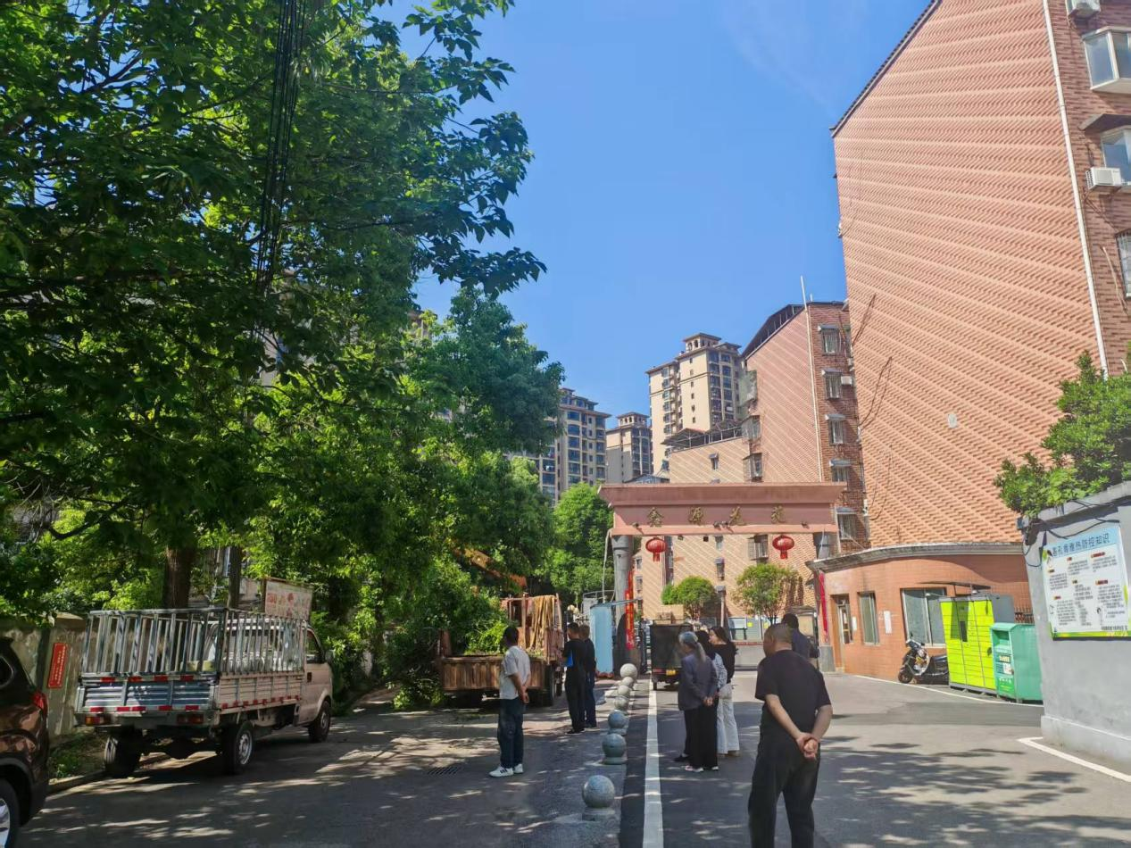 飛機坪社區(qū)：除蟲剪枝煥新顏 黨員志愿者攜手解民憂