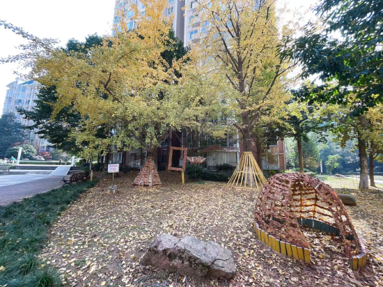 阳光社区家门口的“诗与远方”：党建引领创新社区治理 艺术润心筑建艺术家园