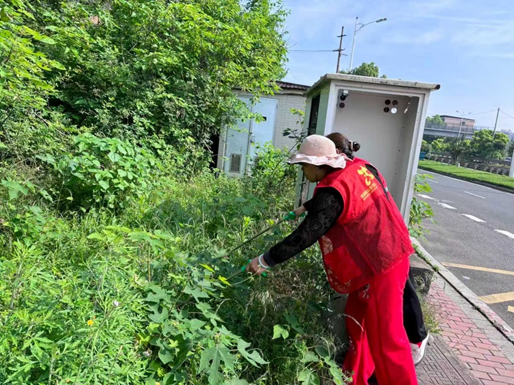 昭山镇窑洲社区志愿服务净家园