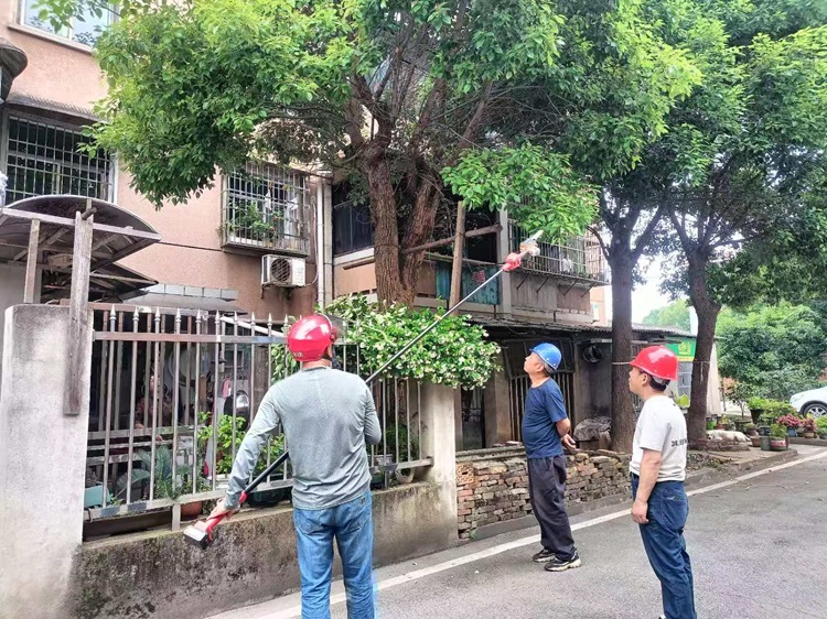 昭山镇双建社区：修剪隐患树枝 办好民生实事