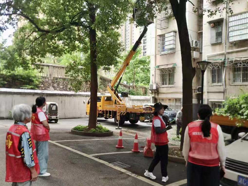 新塘里社区：修剪枝叶除隐患