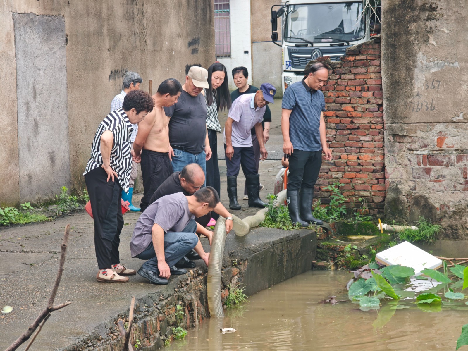 順江村：黨建引領聚合力 排澇搶險顯擔當