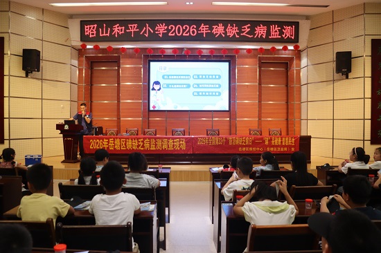 2026年岳塘区“防治碘缺乏病日”宣传活动圆满收官