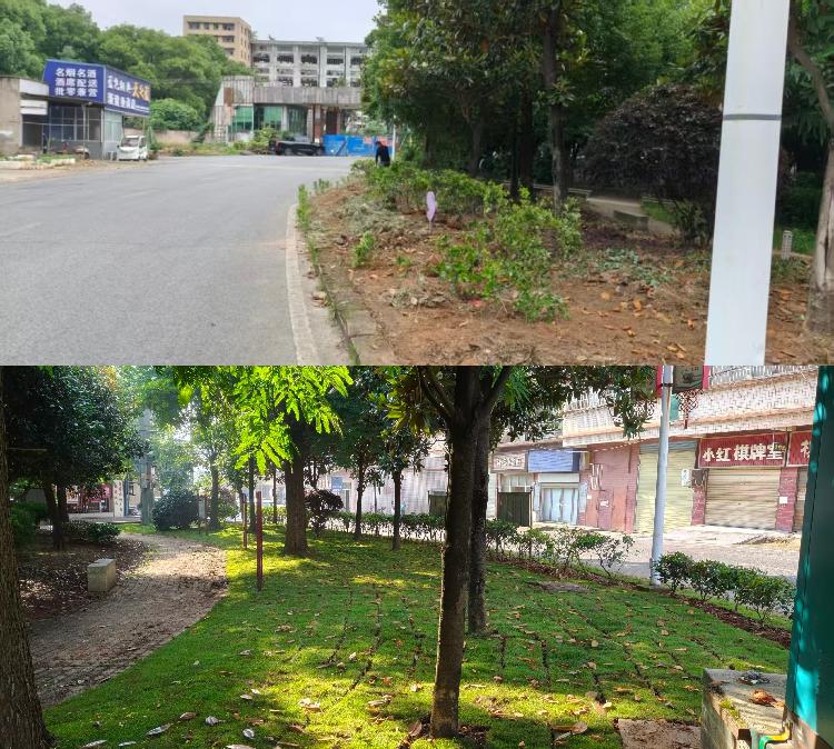 清脏添绿 焕新广场 双建社区聚焦“细节”为社区居民办实事