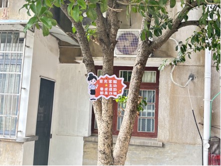 网红地贴 树上挂牌 鸦雀塘社区开辟反诈宣传新阵地