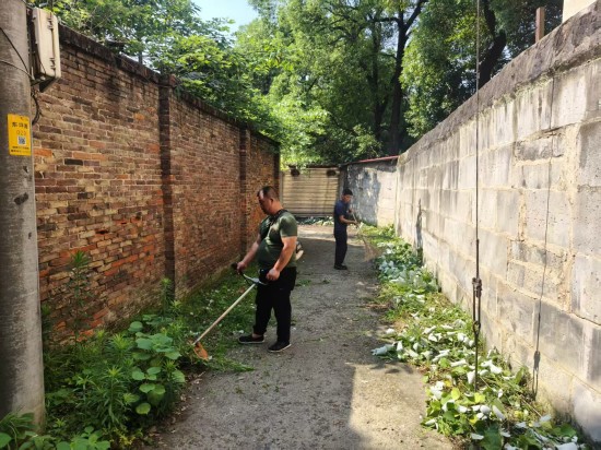 清理杂草优化环境 横街社区抓实抓细夏季传染病防控工作
