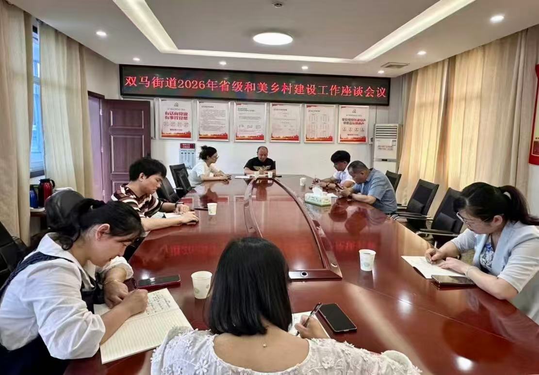 学经验谋发展 双马街道多措并举推进省级和美乡村建设