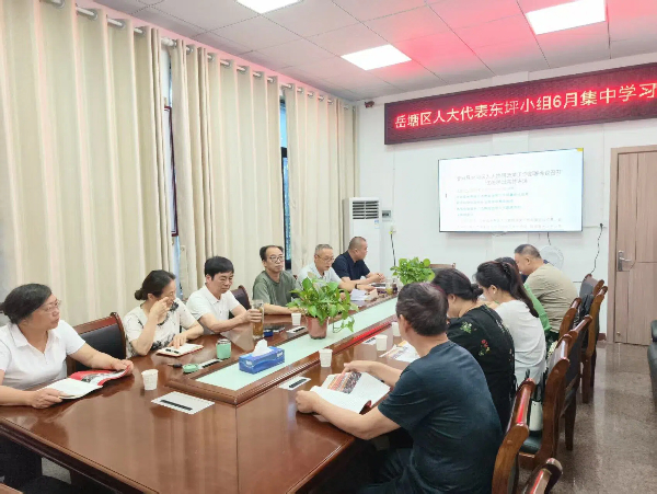 区人大代表东坪小组开展二季度集中学习暨民生实事票决项目视察活动