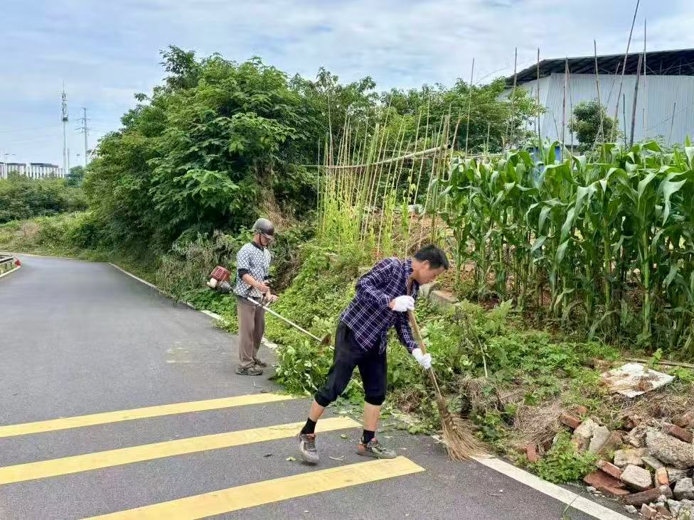 新华村开展主干道杂草清理行动 助力人居环境整治