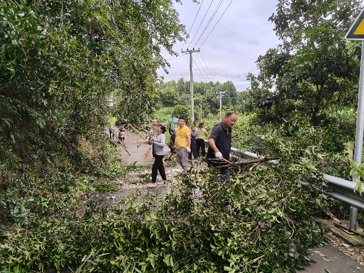 玉屏村村民自发清理道路杂树 消除通行安全隐患