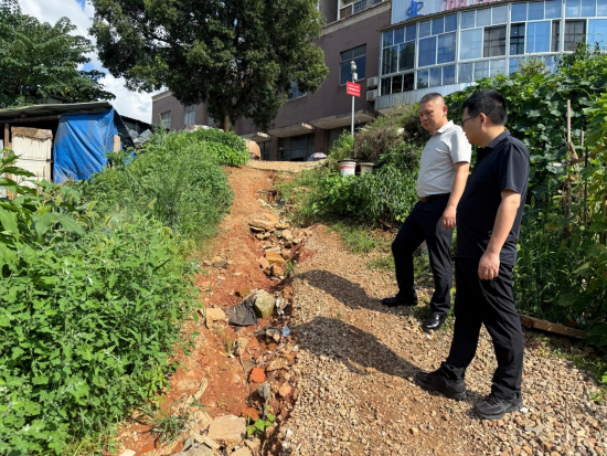 岳塘区人大代表倾听民声解民忧 修缮险路保障群众出行安全