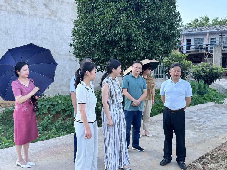 我爱湘潭我的家 人大代表献力量丨市人大代表岳塘区第一小组：履职一线察民情 学思践悟聚共识