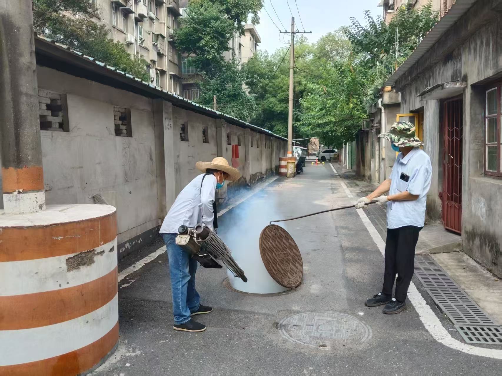 大板房社区开展病媒生物防制专项消杀行动