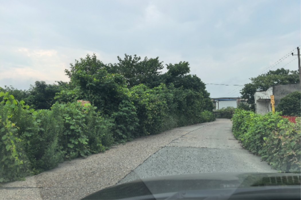铲草除患惠民生 象形社区筑牢出行安全线
