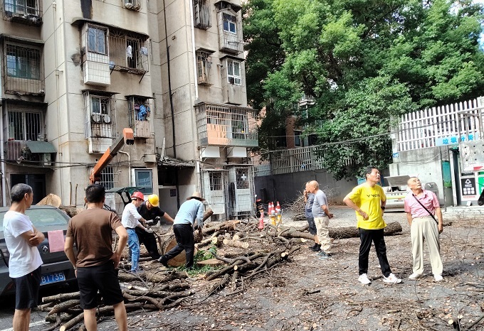 三角坪社区：党建聚力解民忧 枝叶关情暖民心