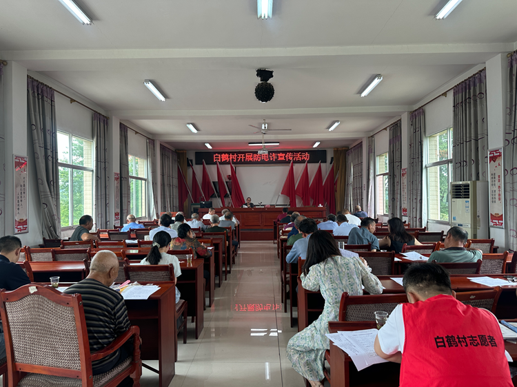 昭山镇白鹤村：反诈宣传进乡村 筑牢群众安全“防护网”