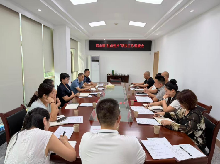昭山镇召开“驻点连片”帮扶工作调度会