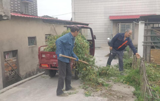 下摄司村推行秸秆常态化清运、规范化处置
