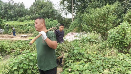 横街社区：抓实秸秆常态化清运处置 筑牢生态防护屏障