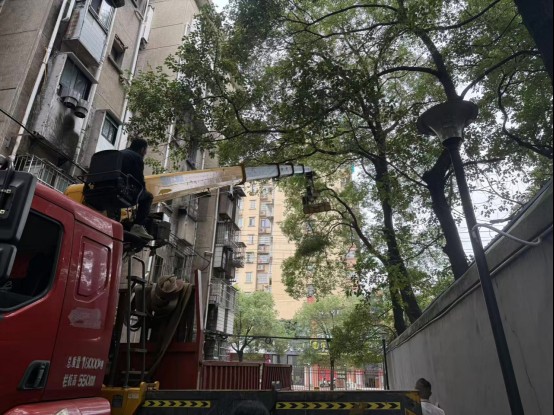 长城社区联合高校修剪树木守护居民平安